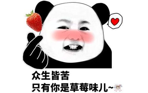 高颜值的表情包,趣味横生的视觉盛宴