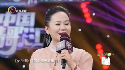 歌唱演员吴静背景,跨越音乐与舞台的璀璨星途