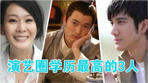 娱乐圈谁的学历最高,揭秘高学历明星背后的故事