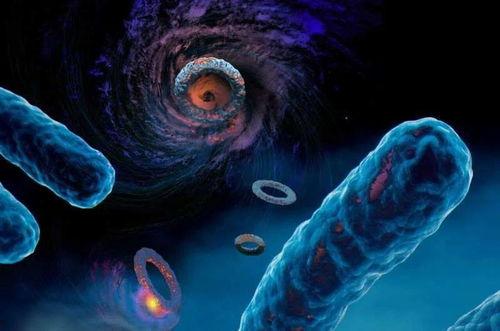 突变的图片,揭秘突变异常图片背后的科学奥秘