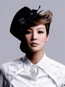 何韵诗资料图片,光影交织的音乐传奇