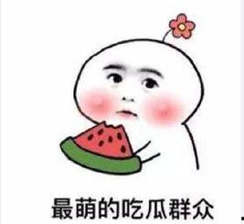 搞笑沙雕吃瓜娱乐圈小说,沙雕吃瓜，笑料横生