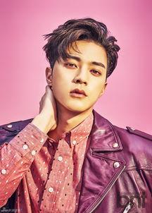 金智勋资料,影视界璀璨的明星之路