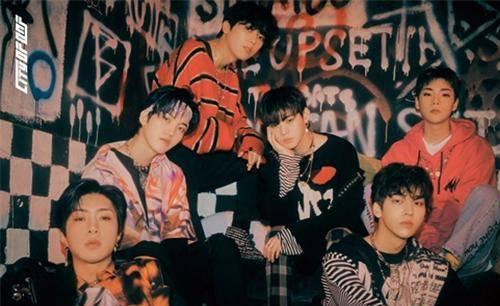 onf组合 资料,揭秘未来网络架构的创新力量